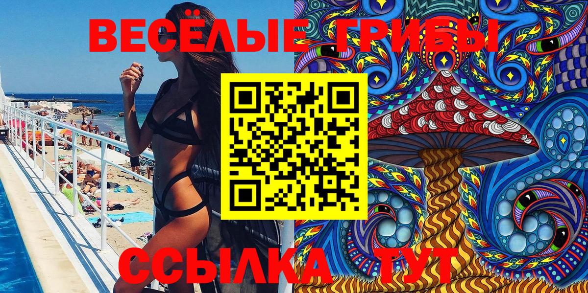 Галлюциногенные грибы Magic Shrooms Димитровград