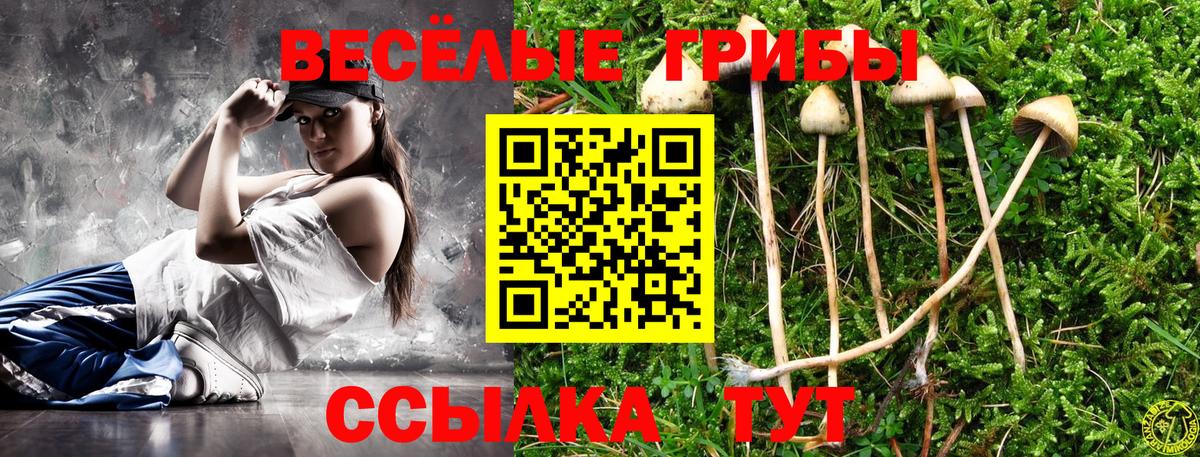 Димитровград  Галлюциногенные грибы Psilocybine cubensis  Псилоцибиновые грибы мицелий  Вход с VPN 