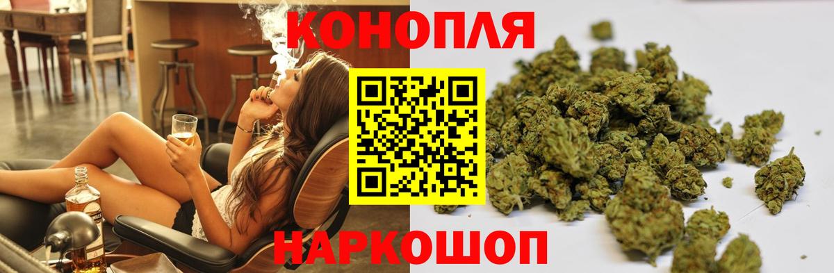Бошки марихуана планчик  Вход с VPN  Канабис Ganja  Димитровград  Канабис планчик 
